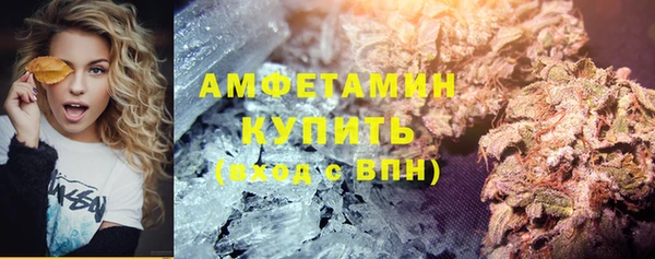 PSILOCYBIN Верея
