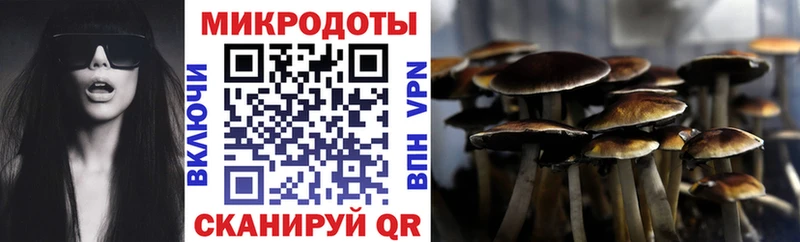 Галлюциногенные грибы GOLDEN TEACHER  Каргат 
